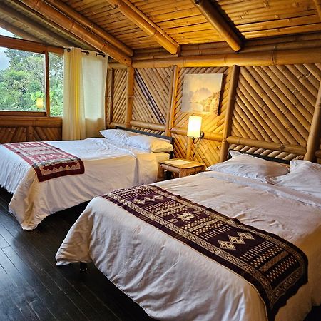 Golden Tree Mindo Eco-Lodge المظهر الخارجي الصورة