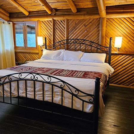 Golden Tree Mindo Eco-Lodge المظهر الخارجي الصورة
