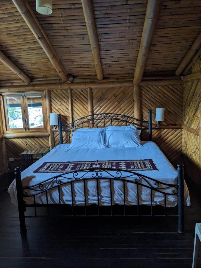 Golden Tree Mindo Eco-Lodge المظهر الخارجي الصورة