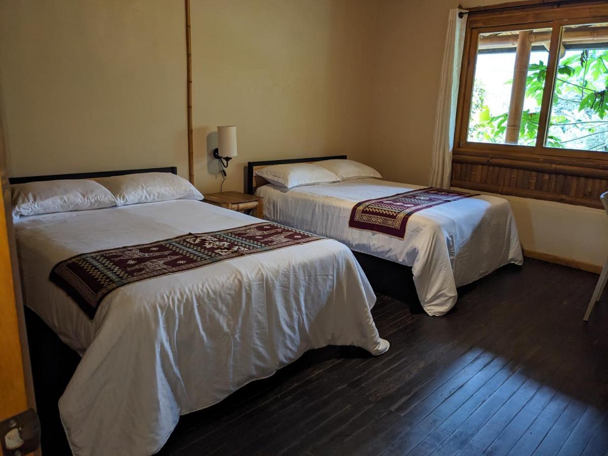 Golden Tree Mindo Eco-Lodge المظهر الخارجي الصورة
