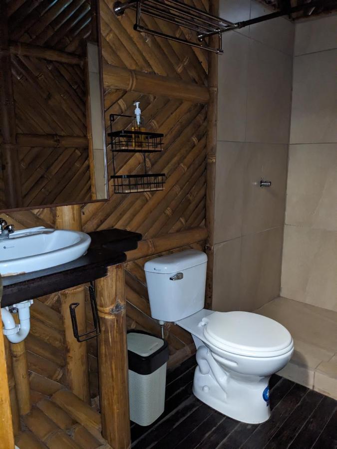 Golden Tree Mindo Eco-Lodge المظهر الخارجي الصورة