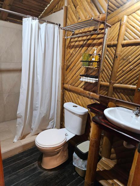 Golden Tree Mindo Eco-Lodge المظهر الخارجي الصورة