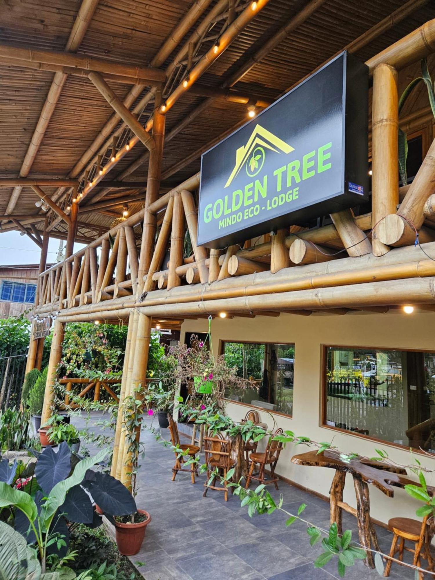 Golden Tree Mindo Eco-Lodge المظهر الخارجي الصورة