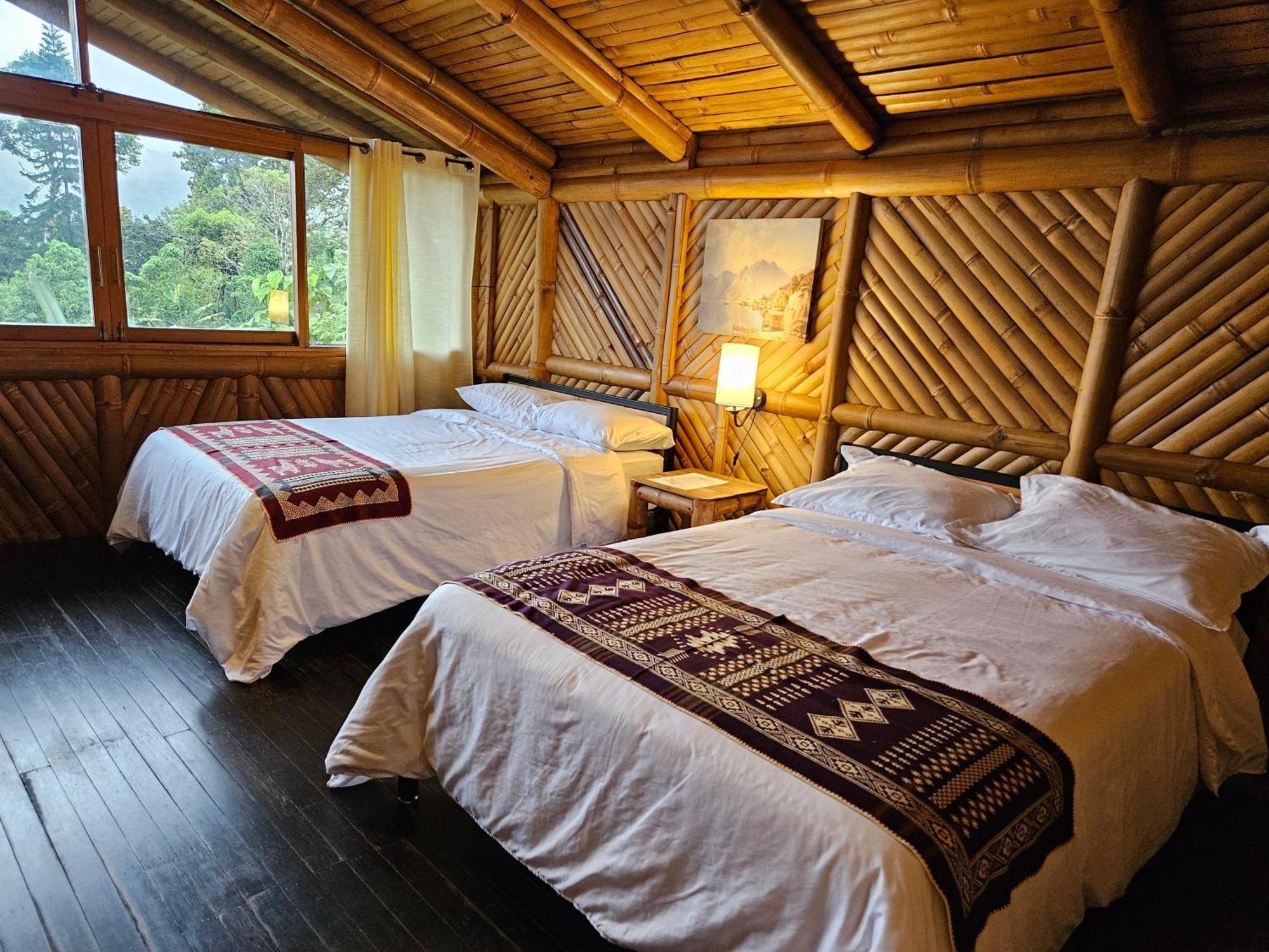 Golden Tree Mindo Eco-Lodge المظهر الخارجي الصورة