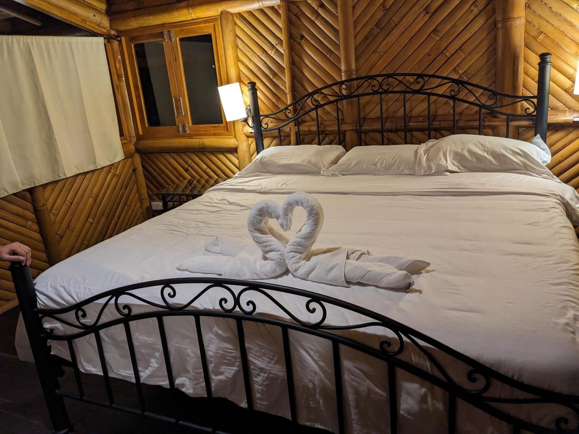 Golden Tree Mindo Eco-Lodge المظهر الخارجي الصورة