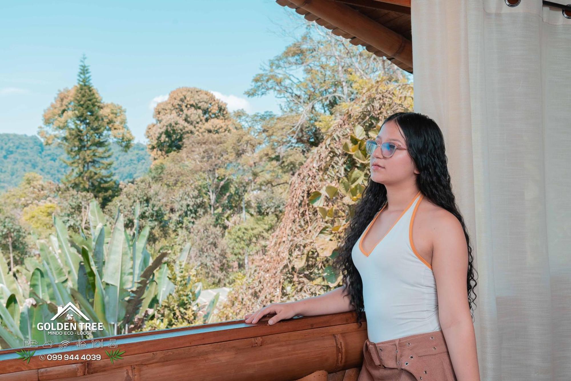 Golden Tree Mindo Eco-Lodge المظهر الخارجي الصورة