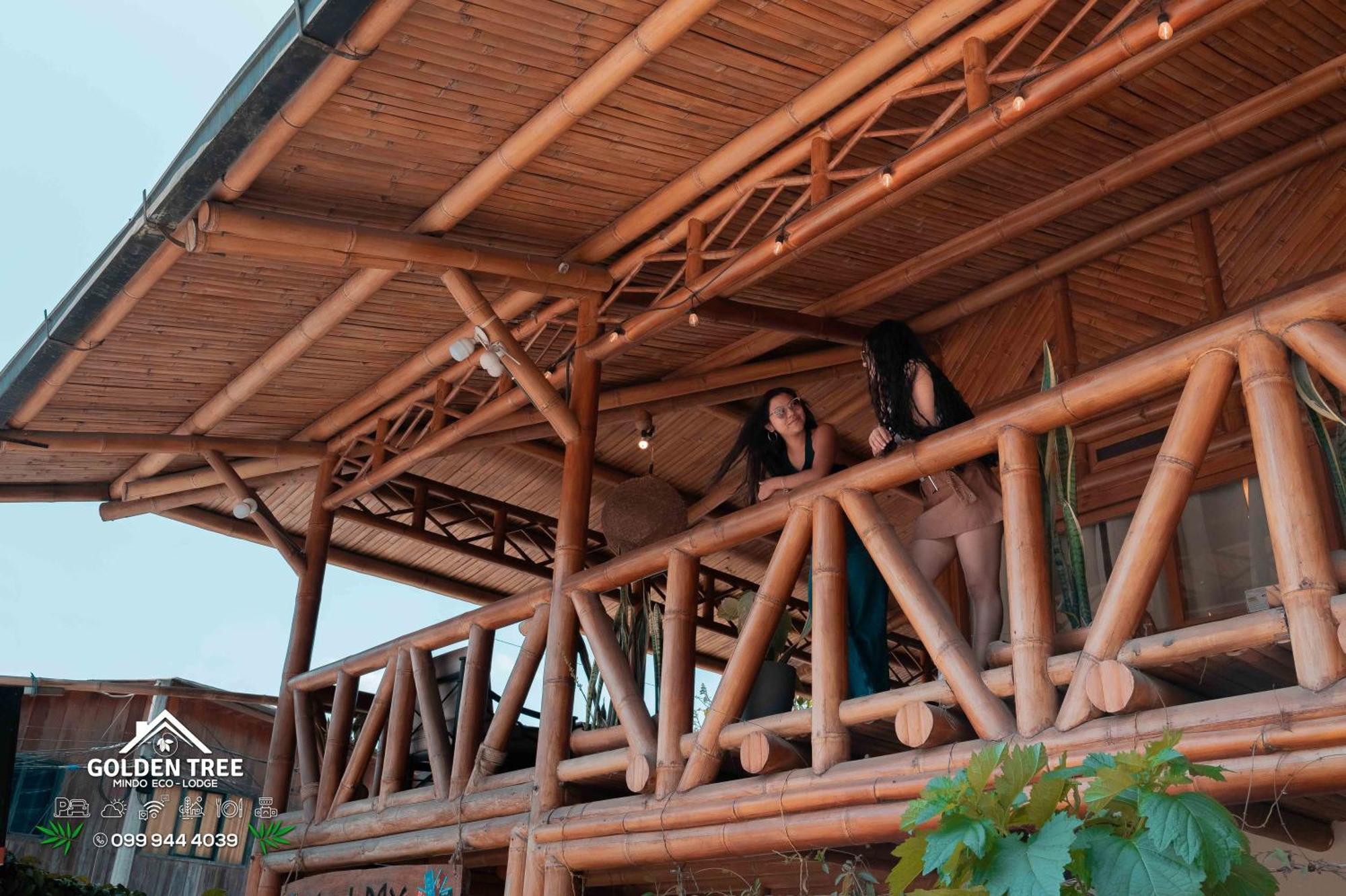 Golden Tree Mindo Eco-Lodge المظهر الخارجي الصورة